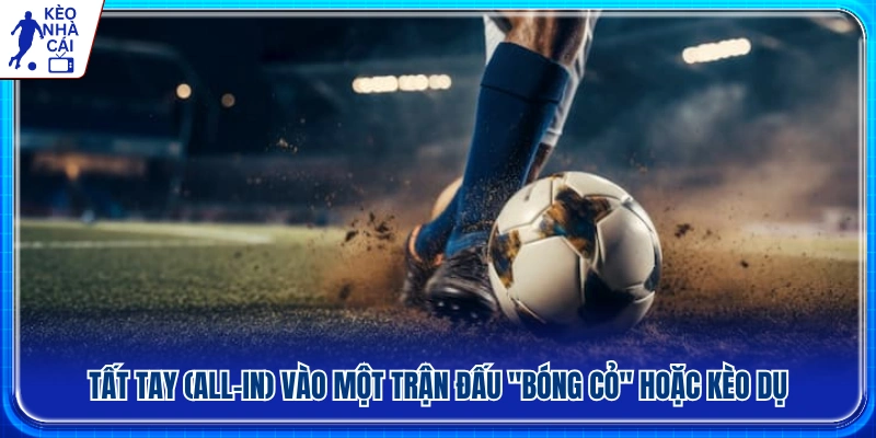 Rủi ro khi tất tay vào các trận bóng cỏ hoặc kèo dụ 