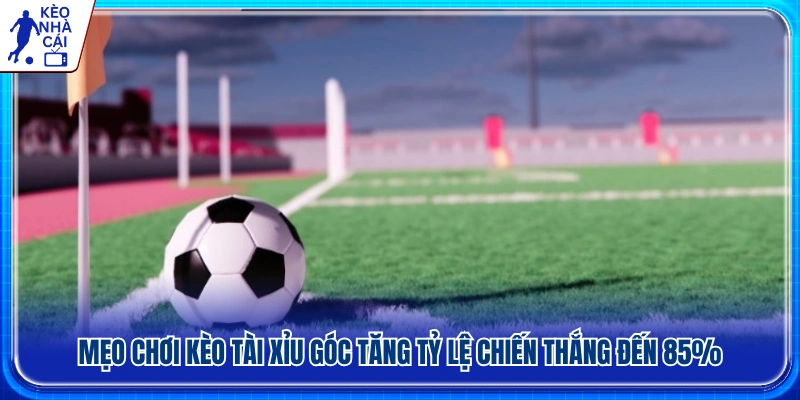 Kinh nghiệm chơi kèo tài xỉu góc hiệu quả hơn 