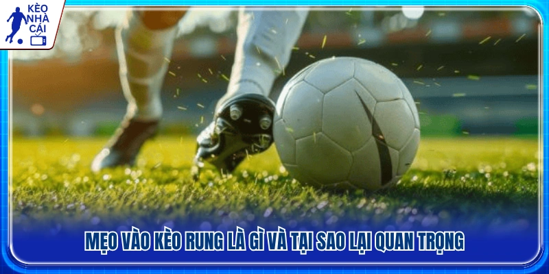 Vai trò của việc phân tích trận đấu khi tham gia kèo rung
