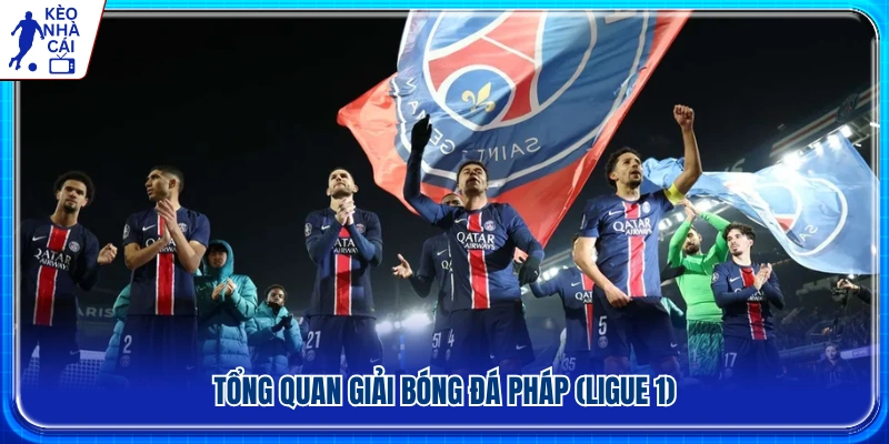 Khái quát về giải vô địch quốc gia Pháp Ligue 1